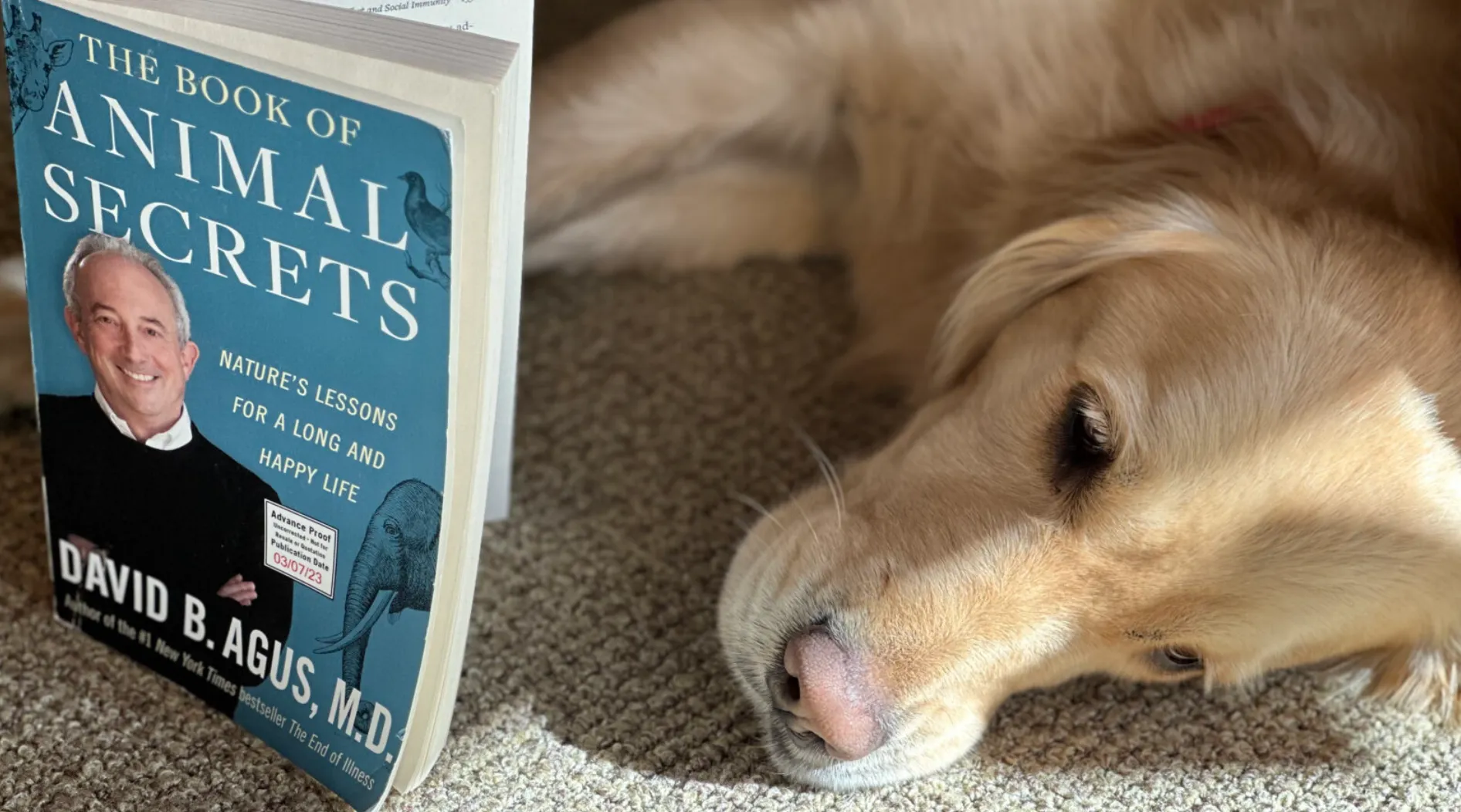 The Book of Animal Secrets: Nature’s Lessons For a Long and Happy Life